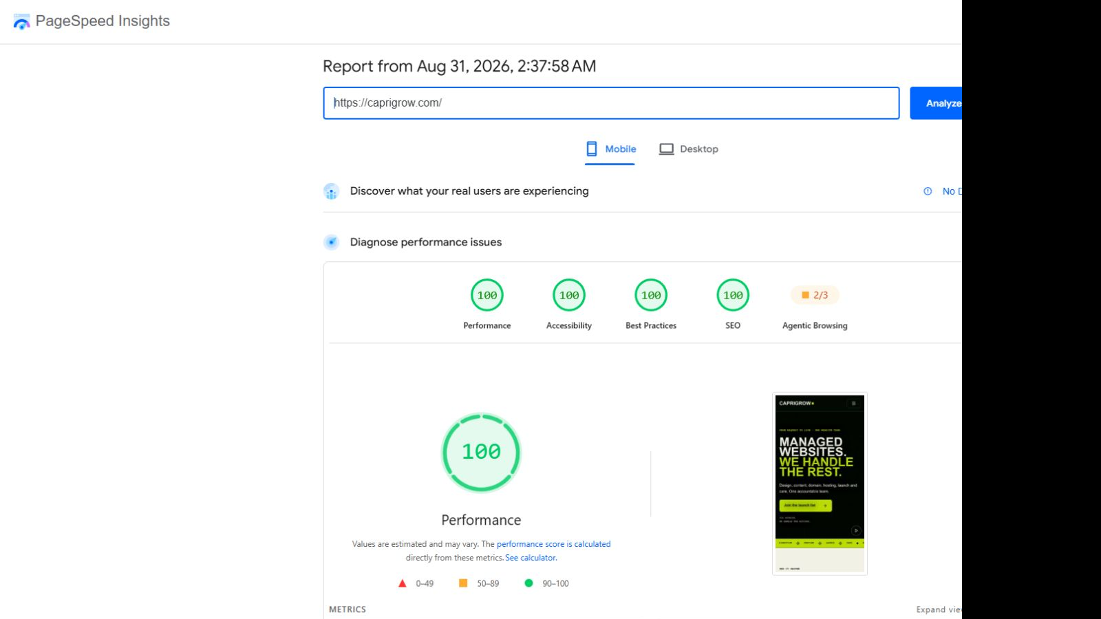 PageSpeed Insights mobile report for caprigrow.com