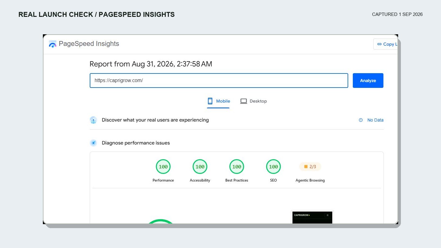 A real PageSpeed Insights mobile audit for Caprigrow